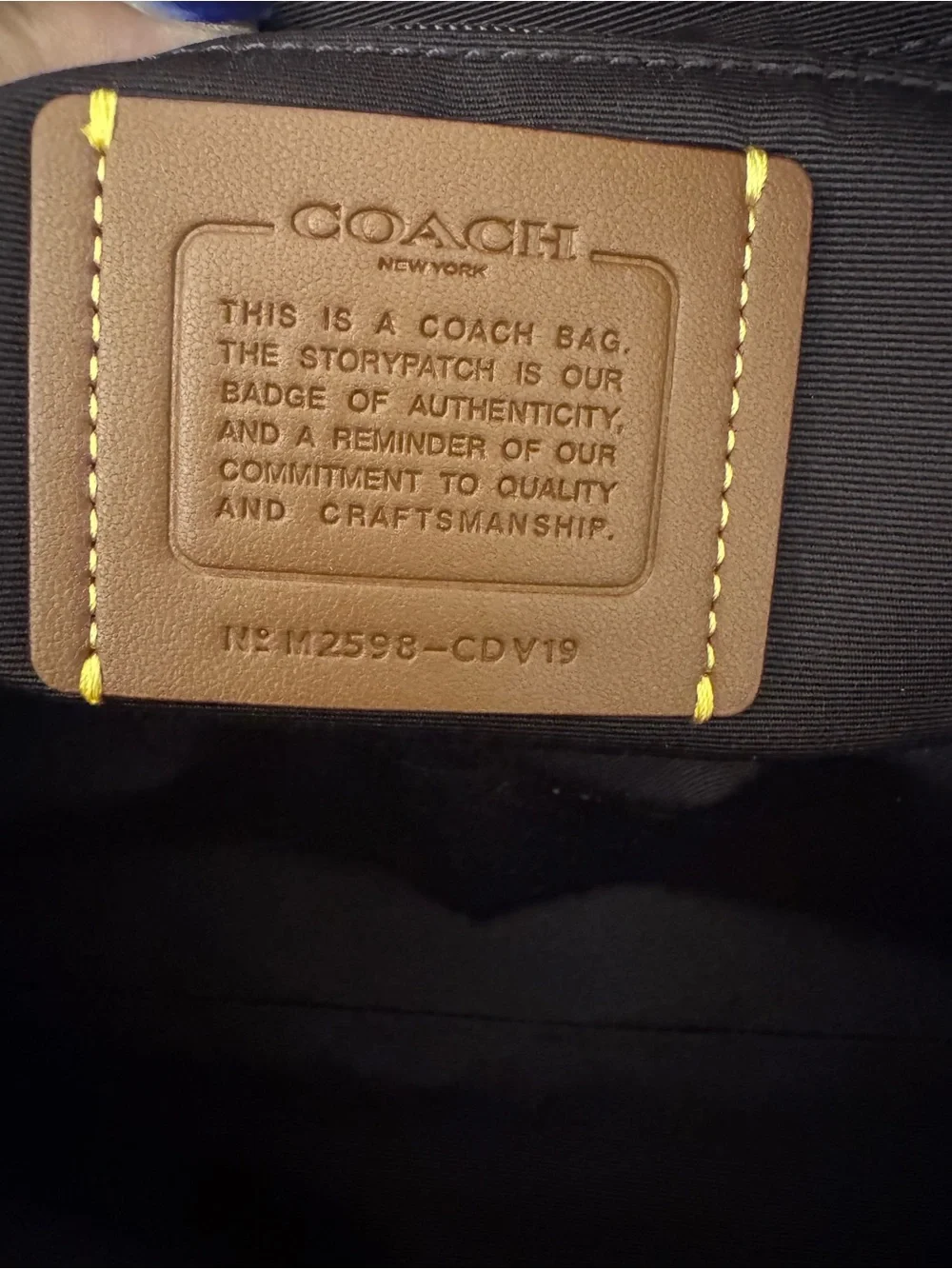 Coach Black Leather Dome Satchel